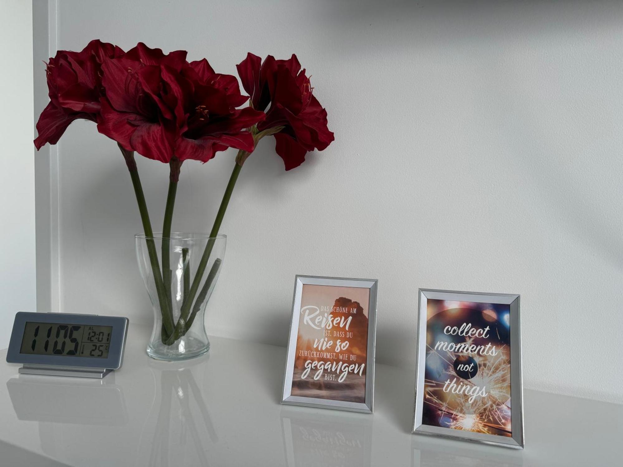 Prime Host Apartments Карлсруэ Экстерьер фото